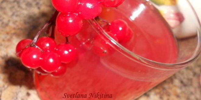Рецепт киселя из калины