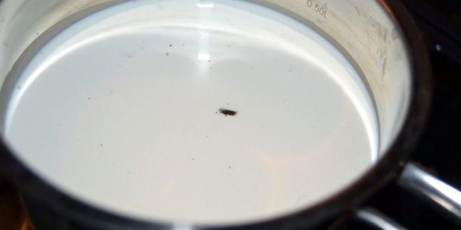 Рецепт бомбы кофейной к 9 мая