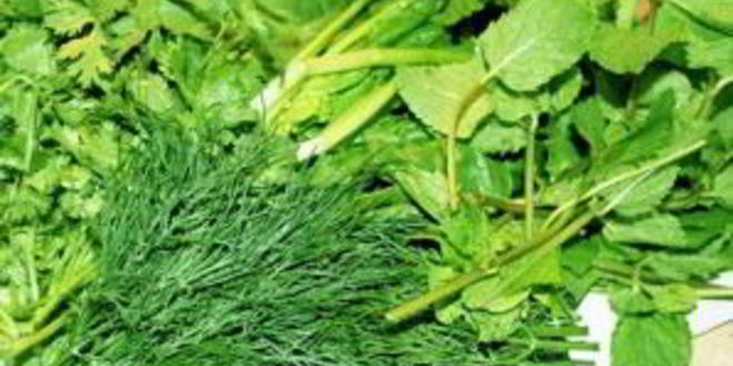 Рецепт коктейля из зелени