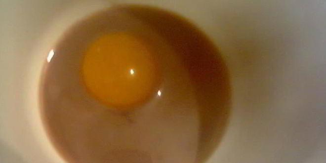 Рецепт коктейля шоколадного