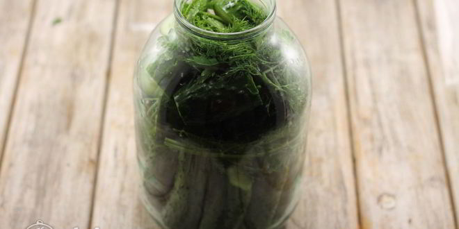 Рецепт соленых огурцов с водкой