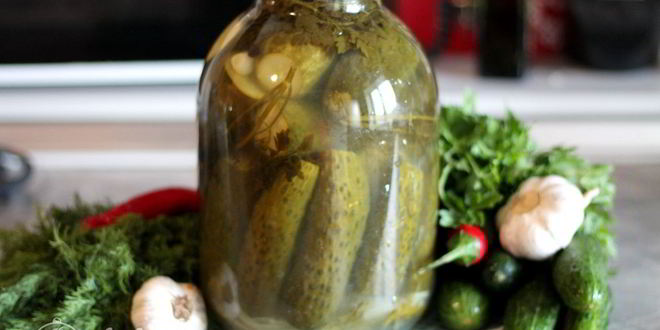 Рецепт соленых огурцов с водкой