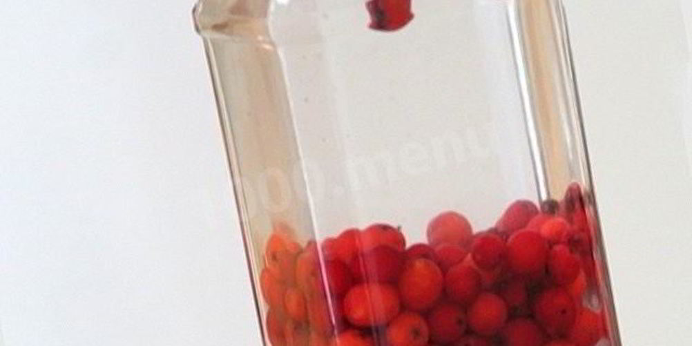 Как приготовить водку на рябине