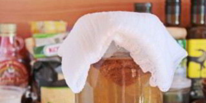 Рецепт березового кваса без дрожжей