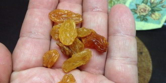 Рецепт кваса для настроения велкам ту шамбала