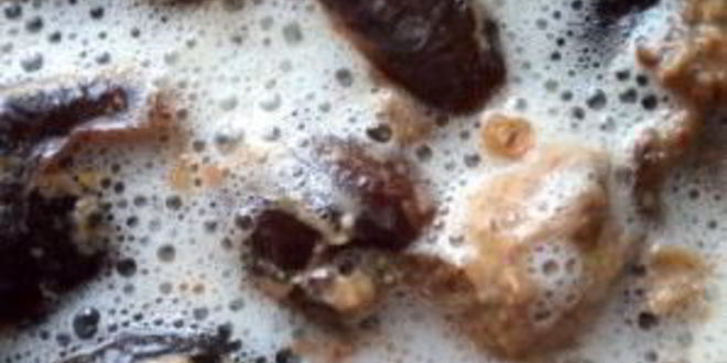 Рецепт кваса из пшеницы