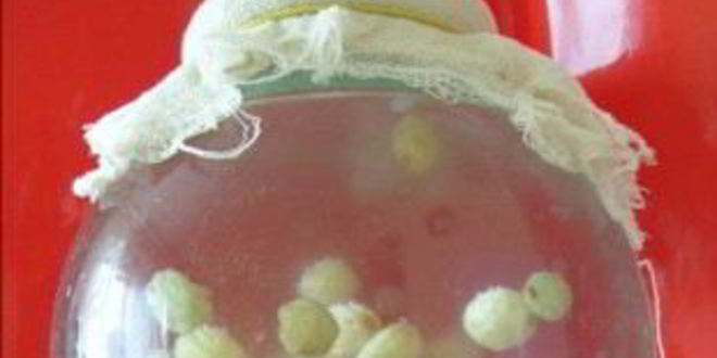 Рецепт кваса из риса и изюма