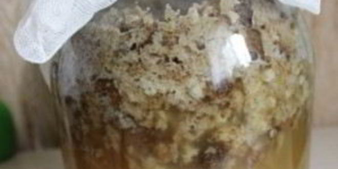 Рецепт кваса из ржаного хлеба