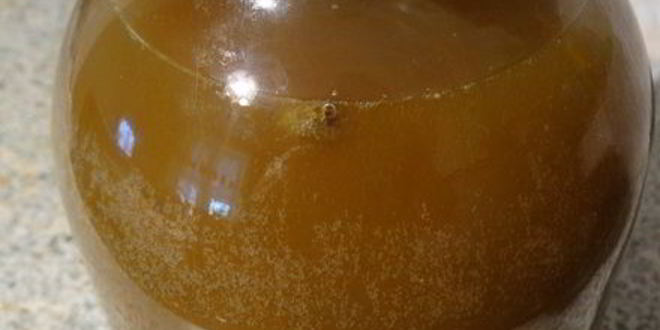 Рецепт кваса из сусла