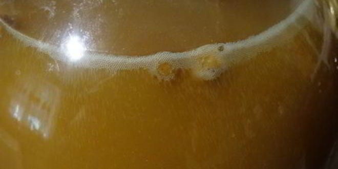 Рецепт кваса из сусла