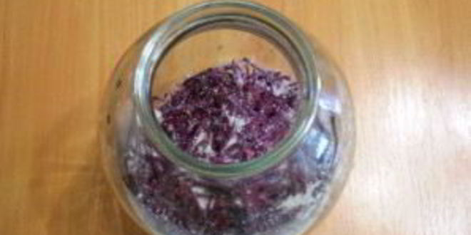 Рецепт кваса из свеклы без дрожжей