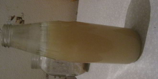 Рецепт кваса хлебного