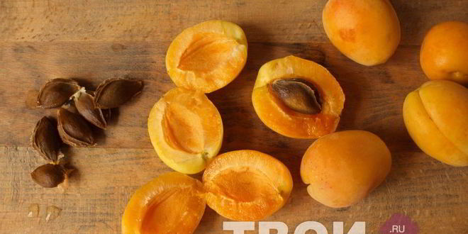 Рецепт абрикосового ликера