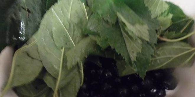 Рецепт ликера арника