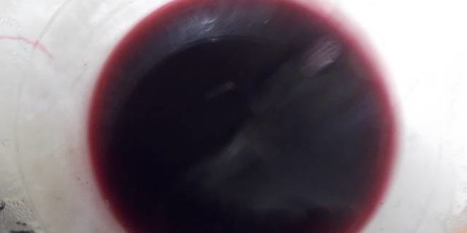 Рецепт ликера арника