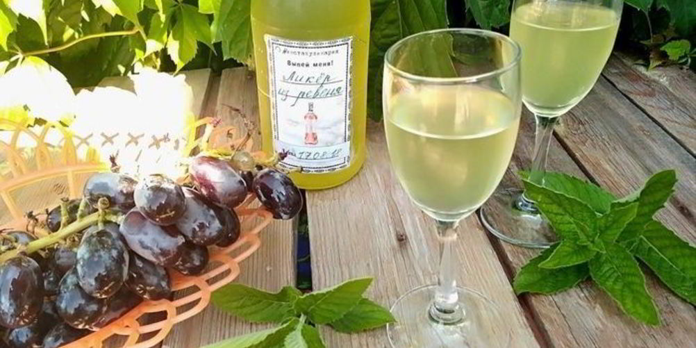 Как приготовить ликер из ревеня