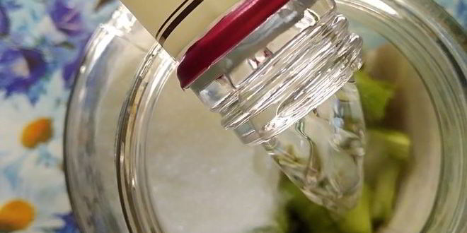 Рецепт ликера из ревеня