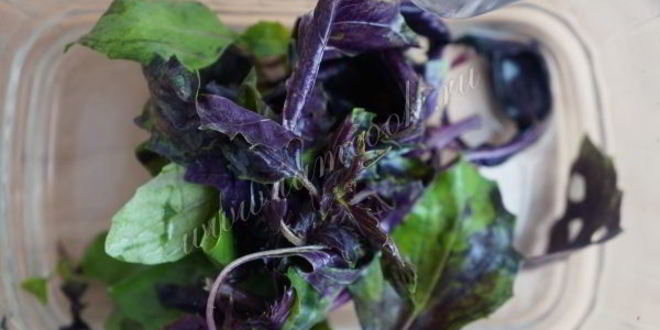 Рецепт базиликового лимонада