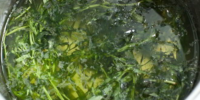 Рецепт лимонада из грейпфрута и тархуна