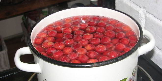 Рецепт лимонада первая вишня