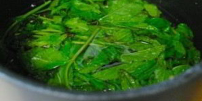 Рецепт турецкого мятного лимонада