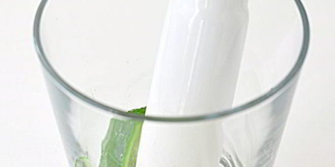 Рецепт коктейля мохито