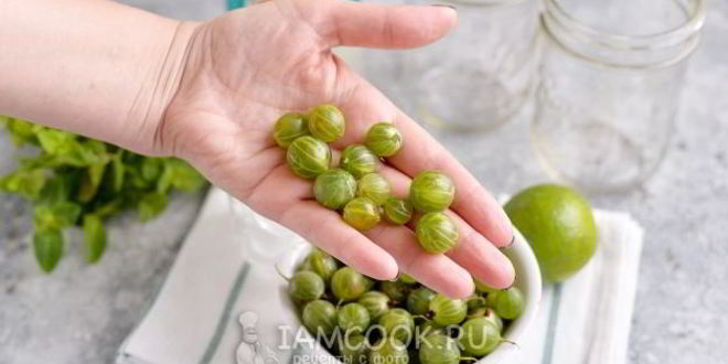 Рецепт мохито из крыжовника