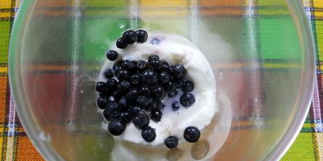 Рецепт молочного коктейля с черникой