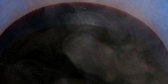 Рецепт морса из черники