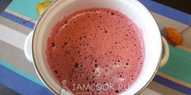 Рецепт морса из черноплодной рябины