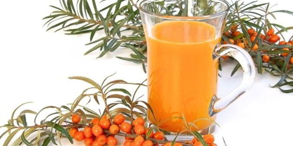 Как приготовить морс из облепихи замороженной