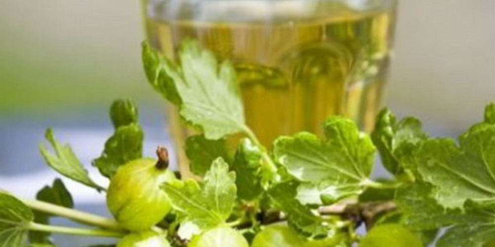 Как приготовить наливку из крыжовника