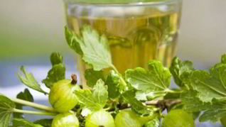 Рецепт Наливки из крыжовника