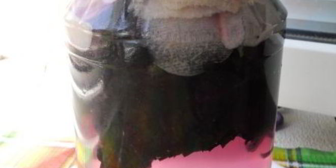 Рецепт напитка из базилика с яблоками, мятой и лимоном