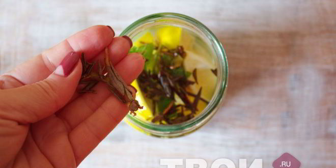 Рецепт мятной настойки