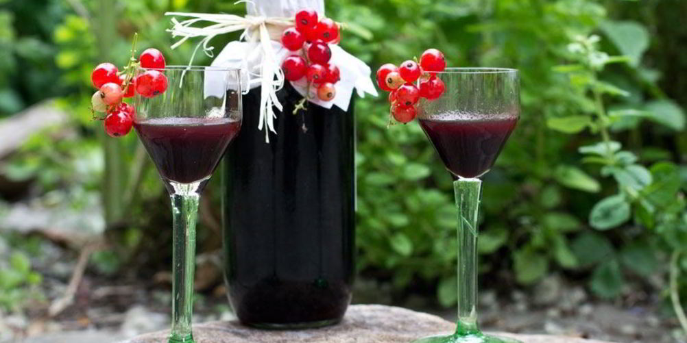Как приготовить настойку из черной смородины