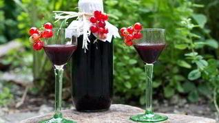 Рецепт Настойки из черной смородины