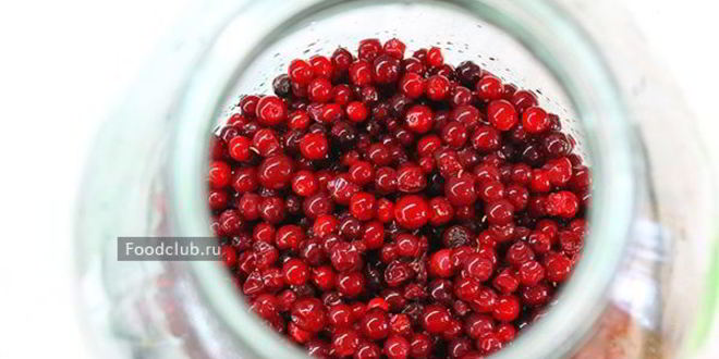 Рецепт настойки на бруснике