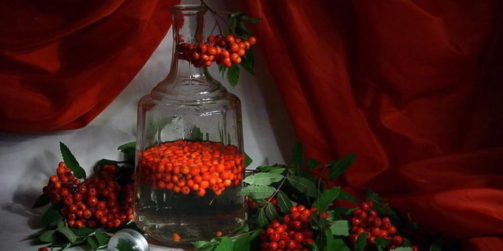 Как приготовить рябиновую настойку на водке