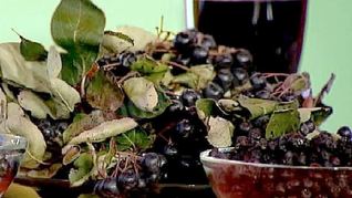 Рецепт Сиропа из черноплодной рябины на зиму