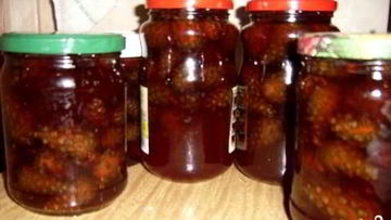 Рецепт Сиропа из сосновых шишек