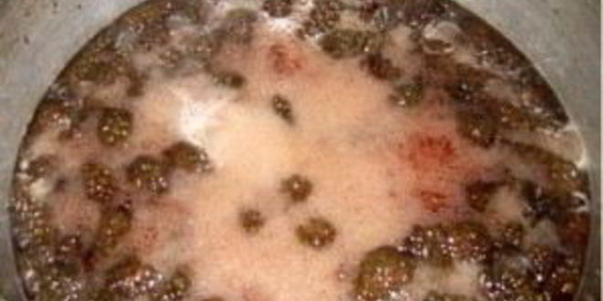 Рецепт сиропа из сосновых шишек