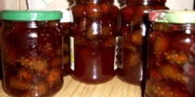 Рецепт сиропа из сосновых шишек