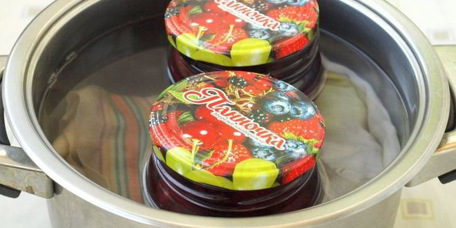 Рецепт слив в сиропе на зиму