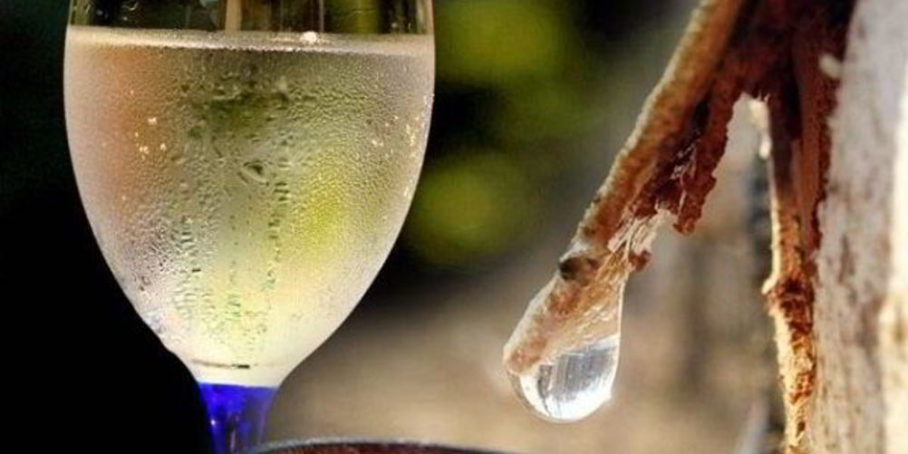 Как приготовить вино из березового сока