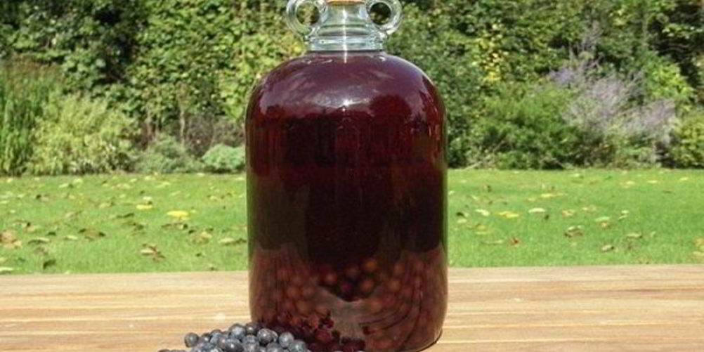Как приготовить вино из терна
