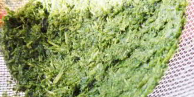 Рецепт зеленого коктейля с лимоном