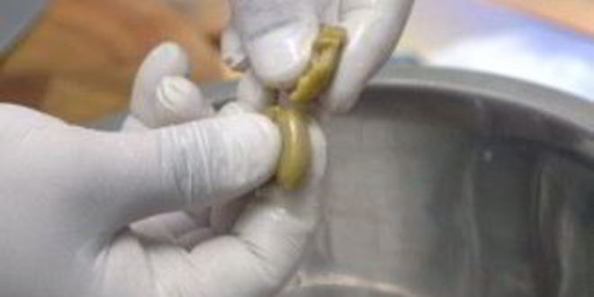 Рецепт греческого салата без перца