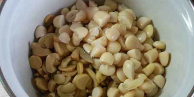 Рецепт салата с фасолью и шампиньонами