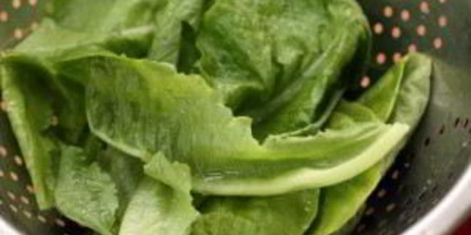 Рецепт салата цезарь с морепродуктами